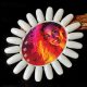 Swatch wheel for Baby Dragon gel polishes