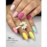 CCO  gel polish 6 Pcs Colour Selection - Rainbow Bridge - Gift with Daisy