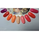 Crush by Sophia gel polish collection with 4 pcs gel pads and gift daisies
