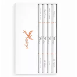 Dual Pro Brush Set for Nail Art