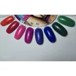 Inspirit Gel Polish Collection – 8 gel polishes + free sample display (nail swatch wheel)