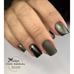 Cat Noir 01 gel polish 8 ml