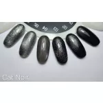 Cat Noir 02 Gel Polish 8 ml