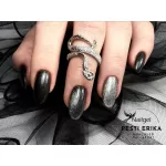 Cat Noir 05 gel polish 8 ml