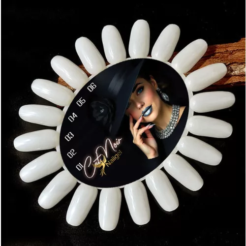 Color display wheel for Cat Noir gel polishes
