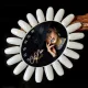 Color display wheel for Cat Noir gel polishes