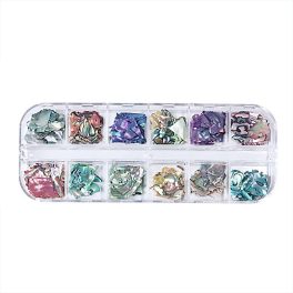 Multicoloured shell in 12 compartment containers