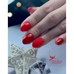 Matte Top Coat 8ml