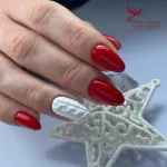 Matte Top Coat 8ml