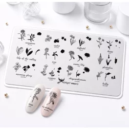 Nail stamping plate 6 × 12 cm – NNG13