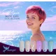 Pixie Base 6-piece Compact Base gel polish collection with a gift daisy