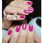 Purple 123 CCO  gel polish 8ml